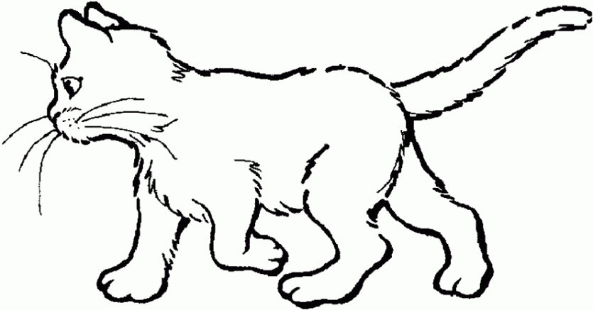 warrior cat cartoon coloring pages - photo #36